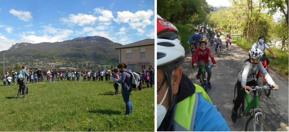 Cento casette in legno per proteggere le civette: 30 anni di progetti per l'associazione De Gaspari